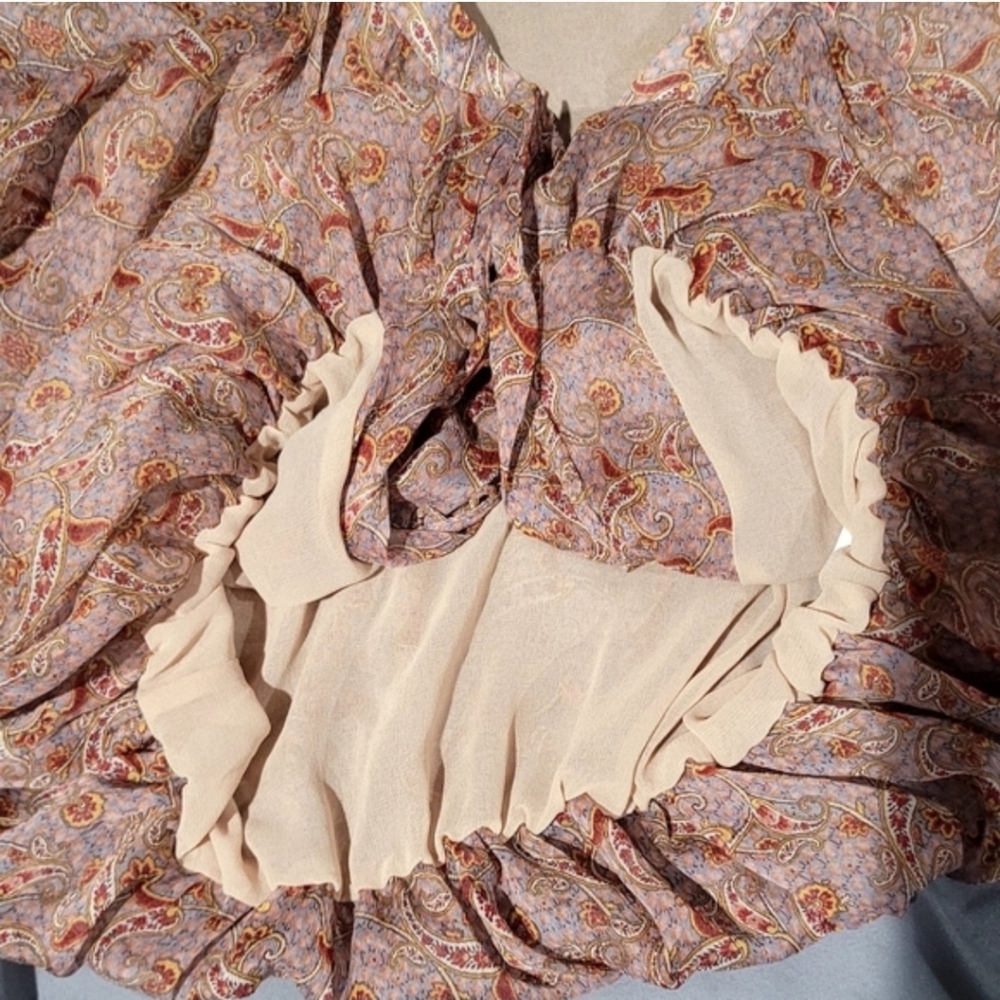Zara Sheer Paisley Blouse Medium Boho Balloon Sleeve Button Front Top - Picture 4 of 10
